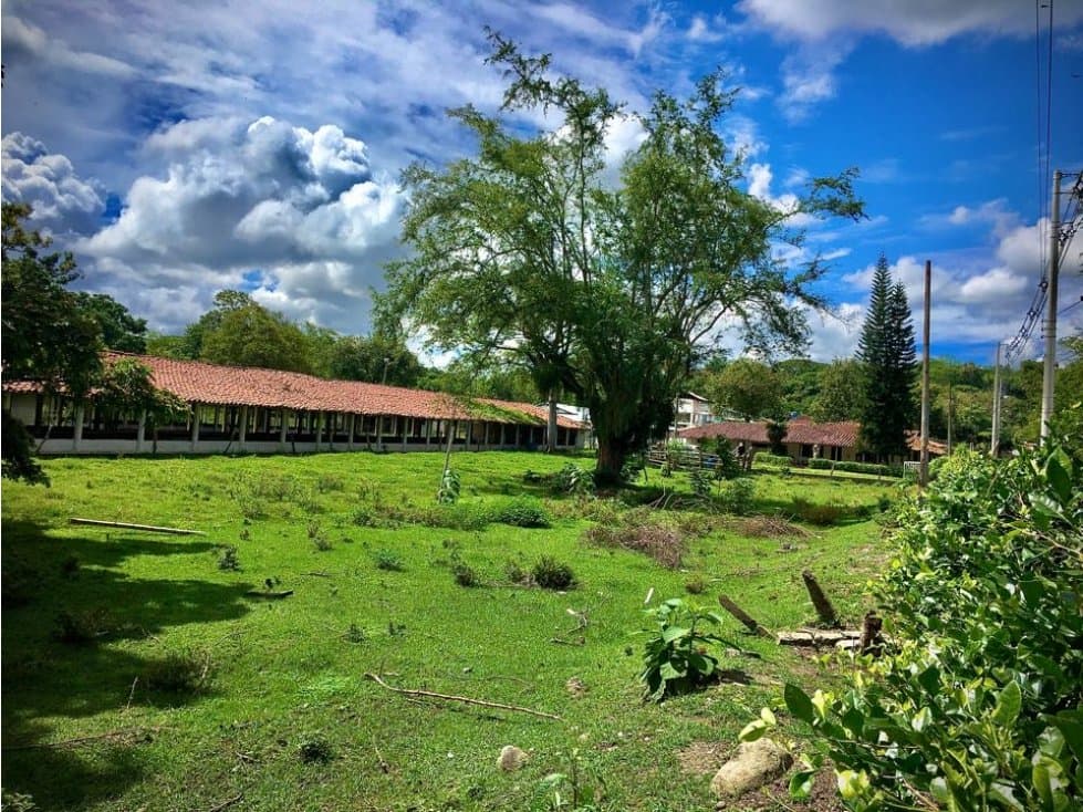 En Buga, Granja avícola cinco galpones 45.000 aves, 4.5 Hectáreas. - 1