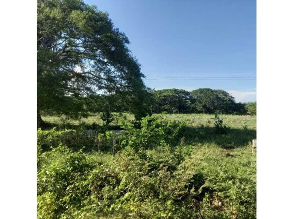 En Venta Finca de 120 Hectáreas, Santa Ana Magdalena - 1