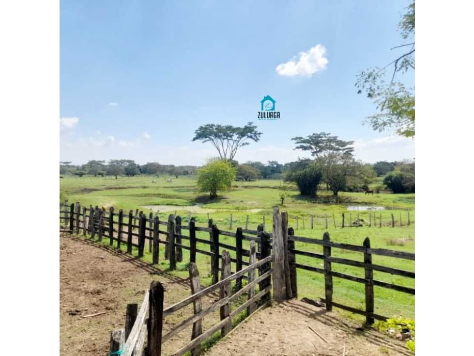 En Venta Finca en Santana a orilla de carretera, 150 hectáreas. - 1