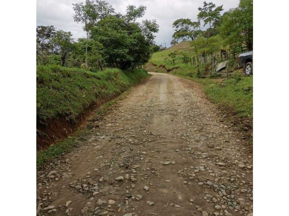 ideal para Proyecto de Parcelación - Finca en Venta - Cajibio - 1
