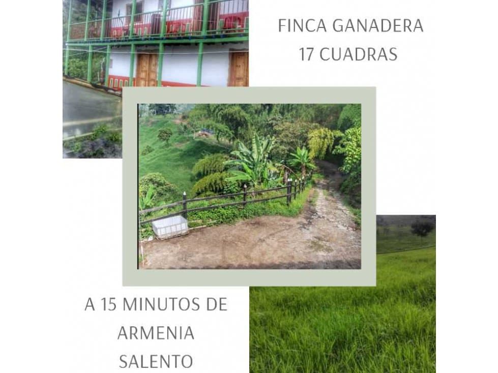 FINCA GANADERA CERCA A ARMENIA - 1