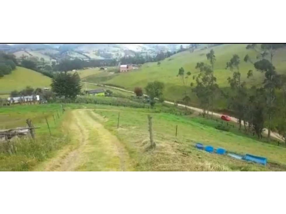 Finca ganadera y para proyecto de glampig - 1