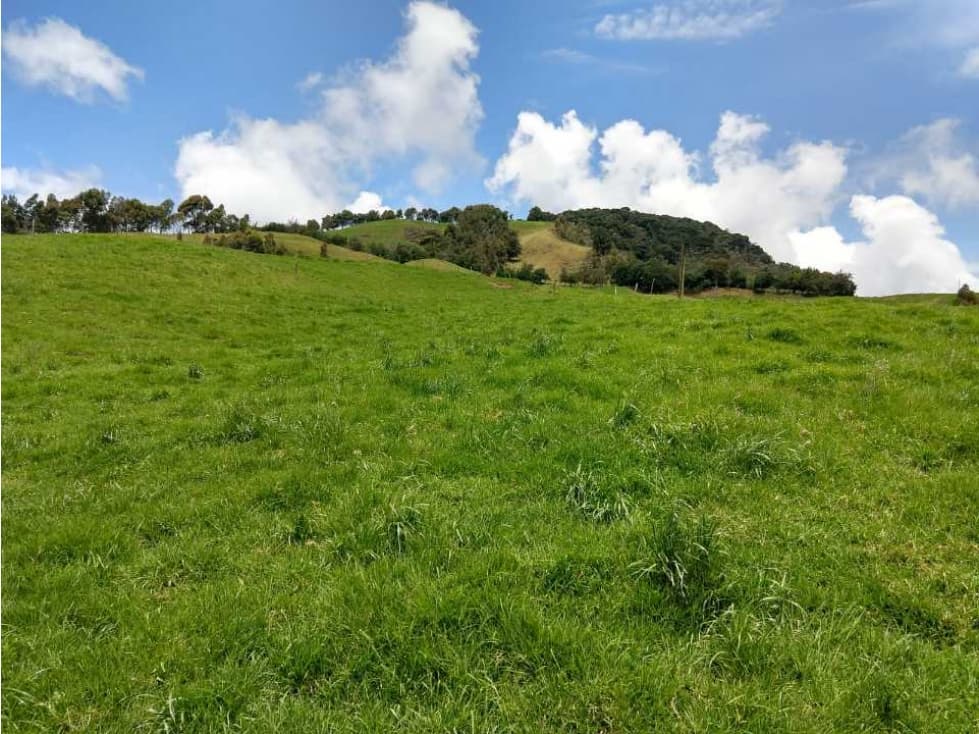 LOTE PARA CASA CAMPO PARA VIVIR EN TIERRA VERDE AGUA AIRE BELMIRA - 1