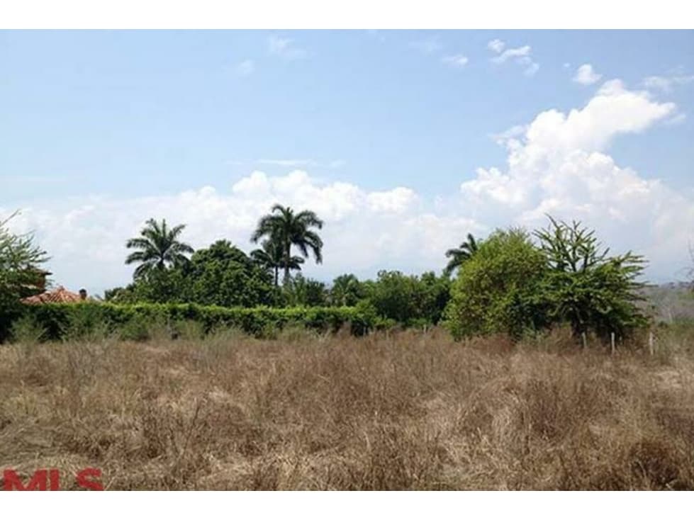 Lote Residencial en venta en Sucre, Olaya - 1