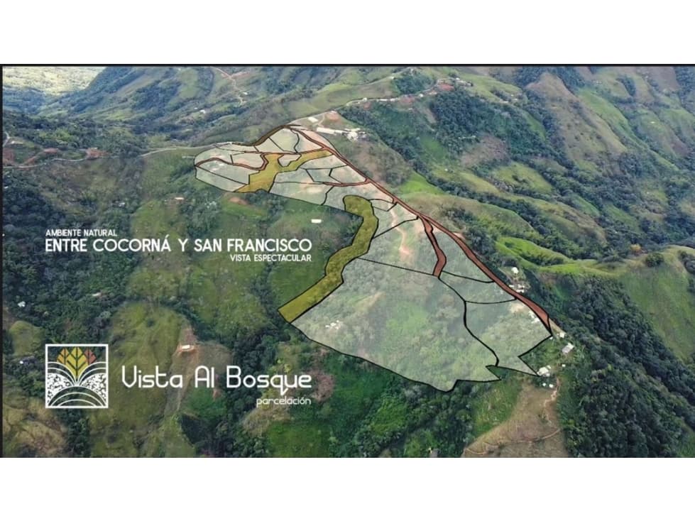 Lotes entre Cocorná y San Francisco (Antioquia) - 1