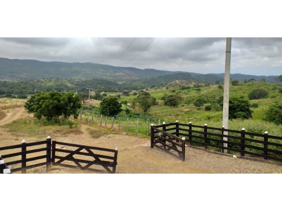 VENTA DE FINCA GANADERA VIA TUBARA - 1