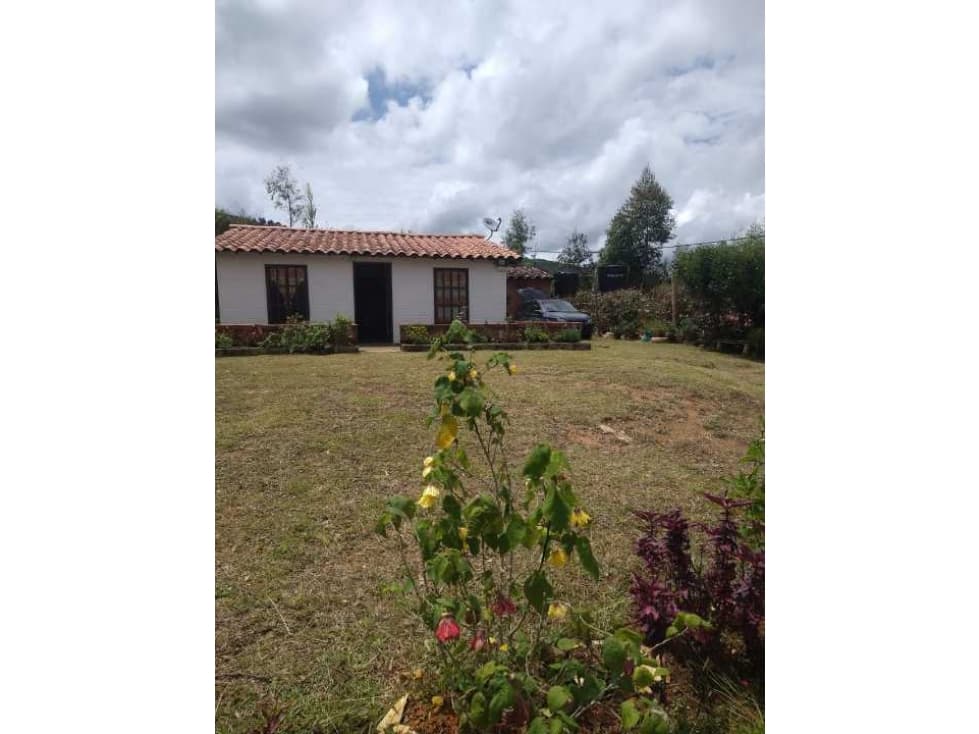 SE VENDE CASA FINCA EN EL MUNICIPIO DE BELMIRA, VEREDA POTRERITO. - 1