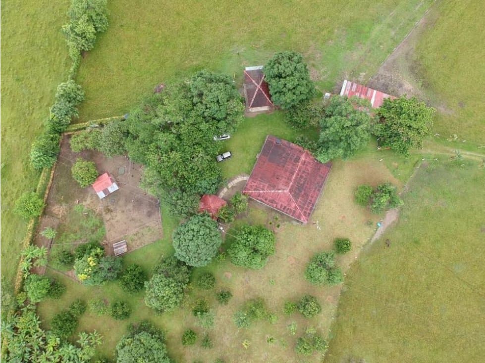 SE VENDE FINCA DE 32H SAN LORENZO - 1