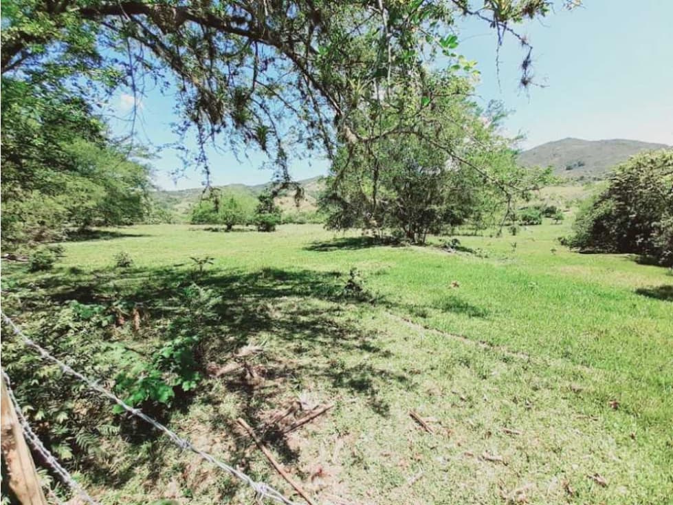 Se vende finca ganadera y para cultivo en yotoco - 1