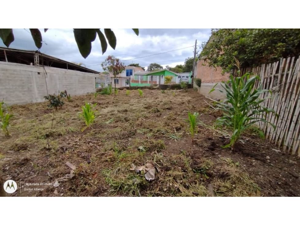 SE VENDE LOTE EN PIENDAMÓ CAUCA BARRIO OASIS MIP.CW6488221 - 1