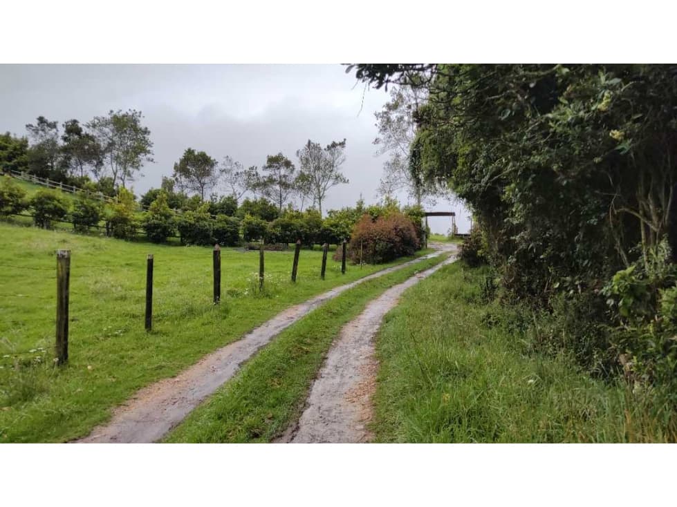 SE VENDE LOTE EN ZIPACÓN, ÁREA 20.000 M2, VEREDA EL CHUSCAL - 1