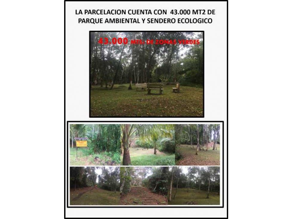 Vendo finca en dagua corregimento borreto ayerbe kilometro 30 - 1