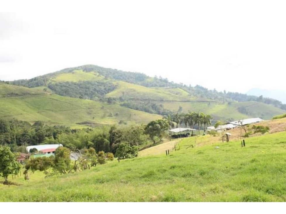 VENTA DE FINCA GANADERA YOTOCO VALLE - 1