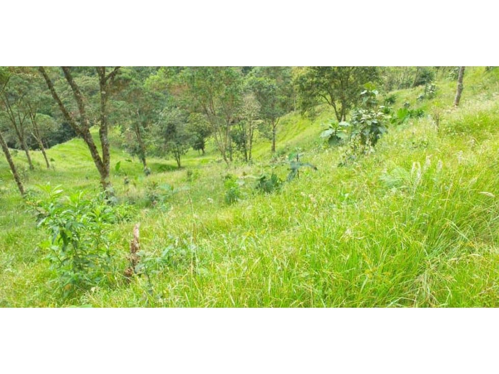 VENCAMBIO FINCA ITUANGO , VEREDA PENÀ, ANTIOQUIA - 1