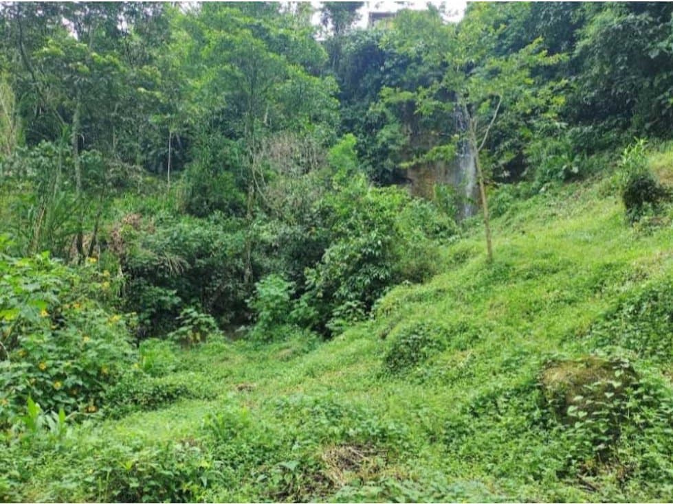 VENTA LOTE CON CASA DE DOS NIVELES, HELICONIA - 1