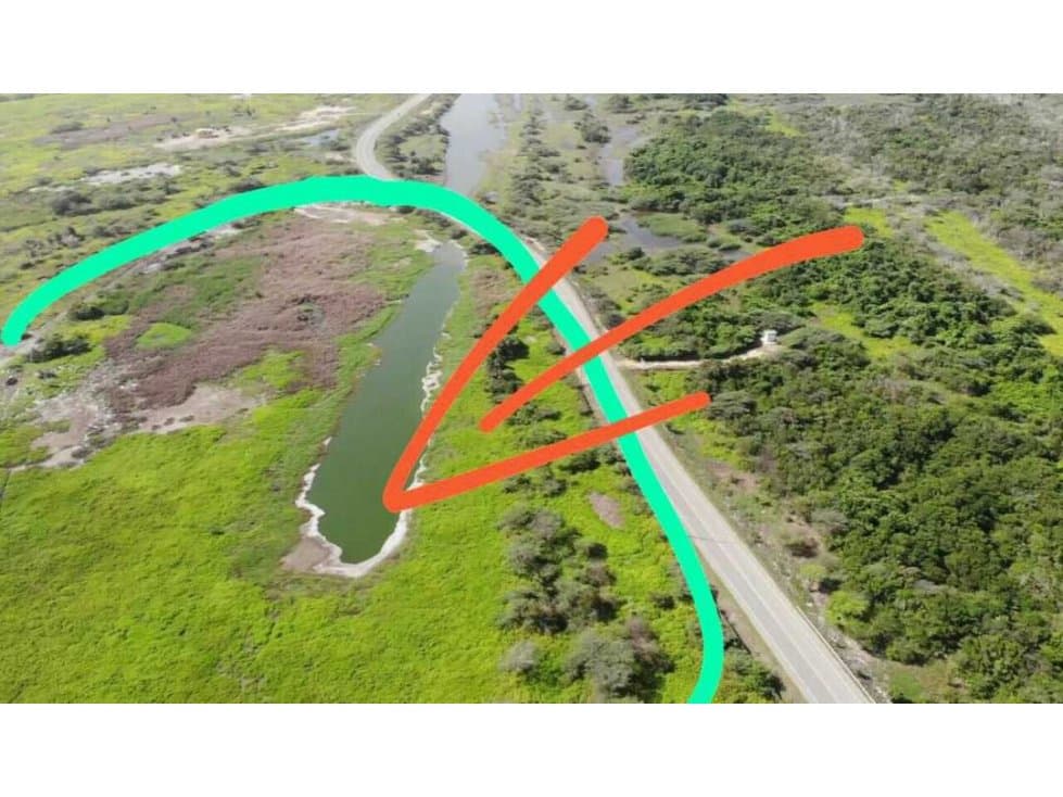 Venta lote, Zona Franca De Palermo, Sitio Nuevo, Magdalena, Colombia. - 1