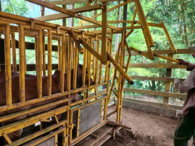 VENTA DE FINCA GANADERA EN CIMITARRA CERCA LA CENTRALIDAD - 5